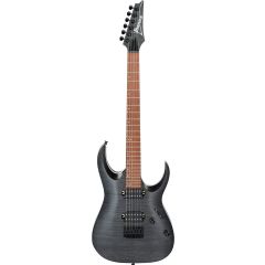 Ibanez RGA42FM SERIES, Flame Maple Top, Trans Gray Flat