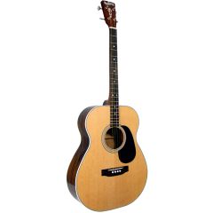 Blueridge Acoustic Tenor Guitar