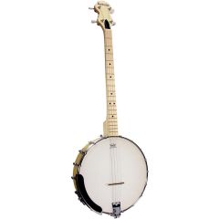 Ashbury Openback Tenor Banjo, Maple Rim