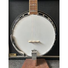 Fender Deluxe 5 String Banjo