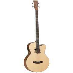 DISCOVERY ACOUSTIC BASS