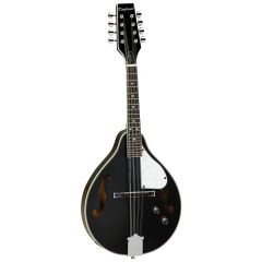 Tanglewood TWM Teardrop Electro Mandolin